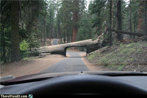 Not-A-Kludge: Chuck Norris Drove Here