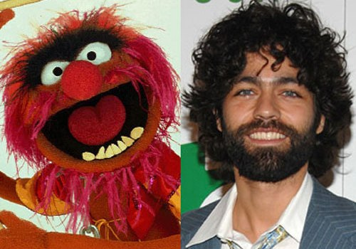 Celebrities That Look Like Muppets